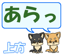 743302533