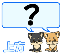 743302535