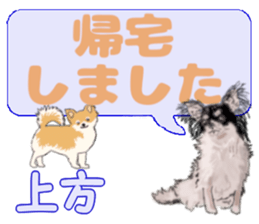 743302654