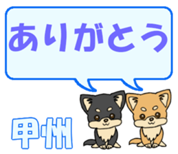 743302738