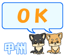 743302739