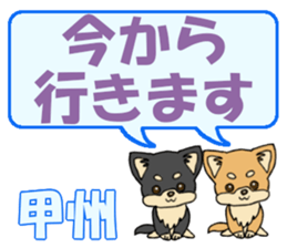 743302747