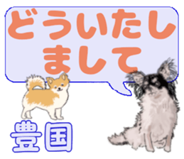 743303004