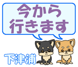 743303211