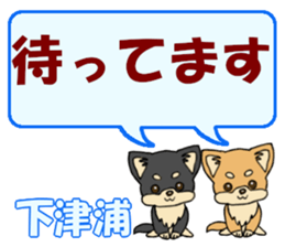743303213