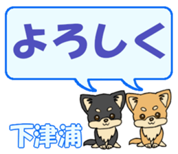 743303229