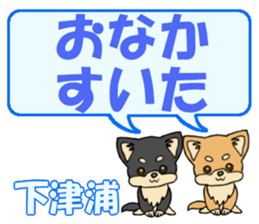 743303236
