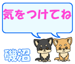 743303351