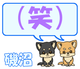 743303367