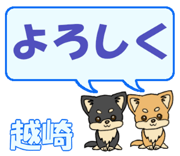 743303885