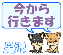 743304019