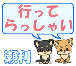 743304384