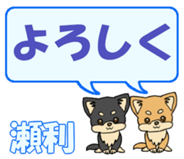 743304389