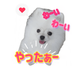 743319152