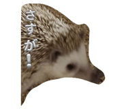 743319293