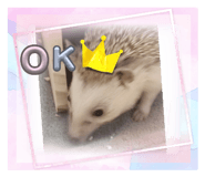 743319299