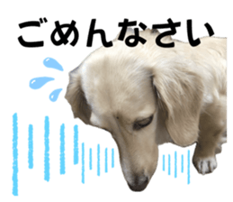 743324106