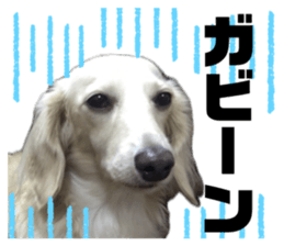 743324109