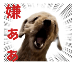743324891