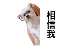 743327467