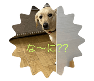743334010