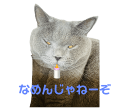 743345305