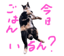 743345315