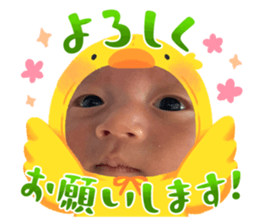 743345800