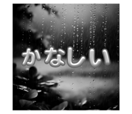 743362844
