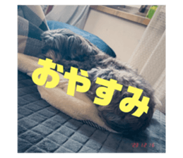 743369279