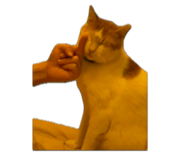743373683