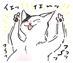743392348