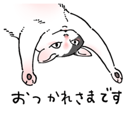 743392362