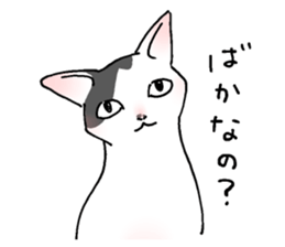 743392368