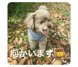 743395066