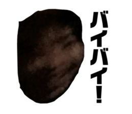 743395080