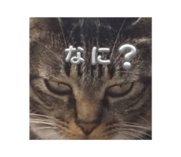 743395208