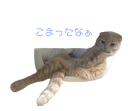 743401056