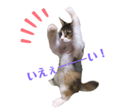 743401059