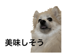 743401556