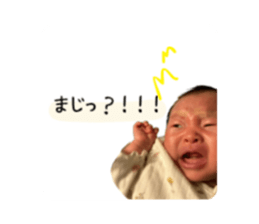 743402291