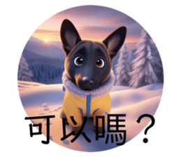 743426170