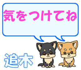 743430551