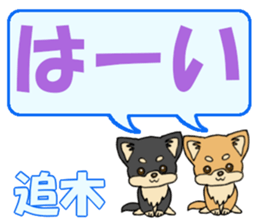 743430554