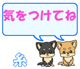 743430631