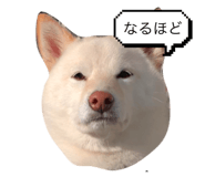 743469073