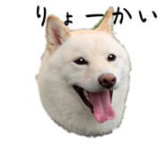 743469075