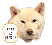 743469077