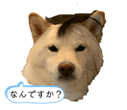 743469078