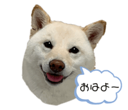 743469079
